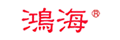 鸿海精密集团
