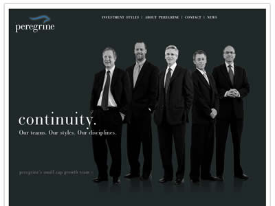Peregrine Systems Peregrine Systems