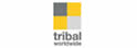 Tribal DDB