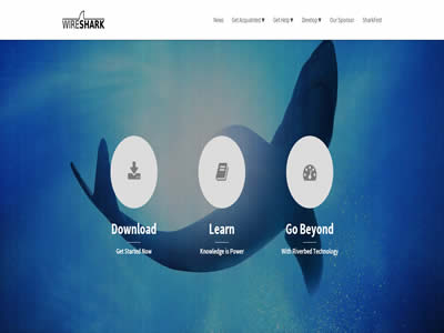 Wireshark Wireshark