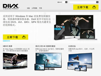 DivX
