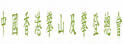 香港攀山总会