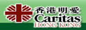 明爱青少年及社区服务