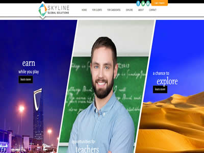 Skyline全球解决方案