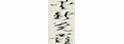 爱新觉罗书画