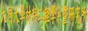 私立大同大学材料工程学系暨研究所