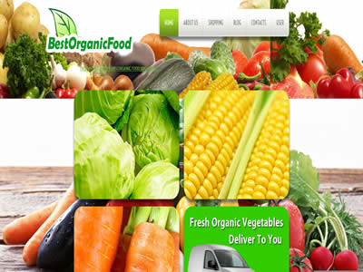 BestOrganicFood