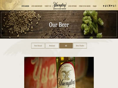 D.G. Yuengling & Sons Inc.