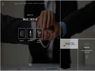Max India Limited