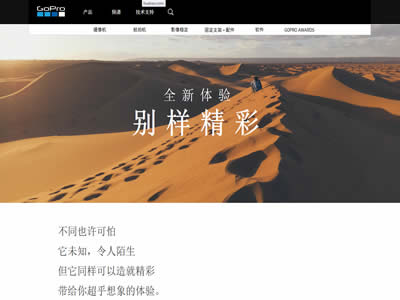 GoPro