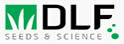 DLF