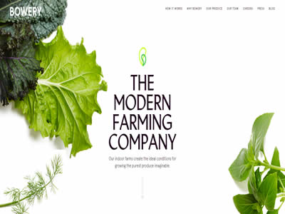 Bowery Farming