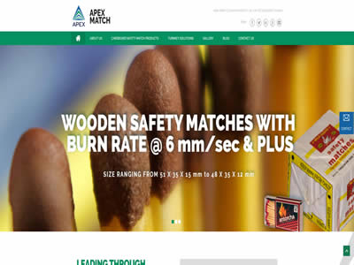 Apex Match财团印度私人有限公司