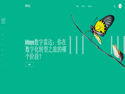 印孚瑟斯技术