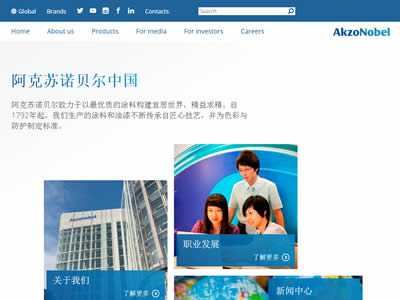 阿克苏诺贝尔