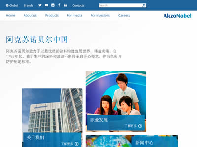 阿克苏诺贝尔