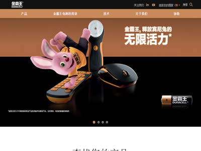 金霸王国际公司