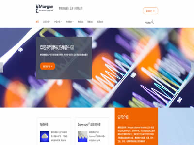 摩根先进材料