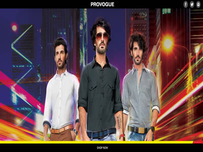 Provogue India Ltd