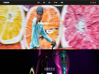 崔克自行车公司