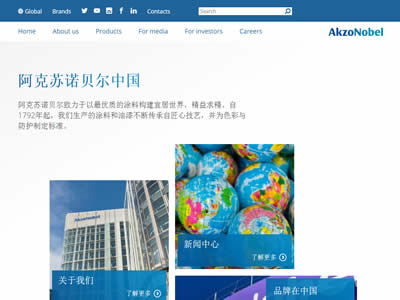 阿克苏诺贝尔