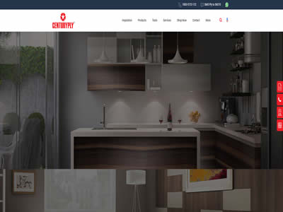 Century Plyboards Ltd