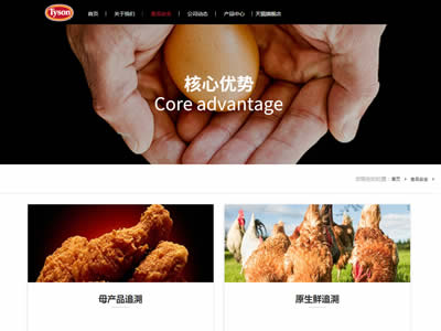 泰森食品有限公司