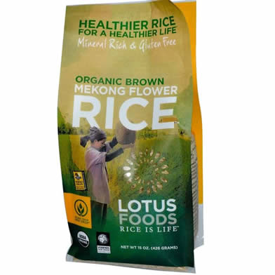 Lotus Food Lotus Food