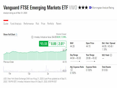 Vanguard FTSE Emerging Markets ETF Vanguard FTSE Emerging Markets ETF