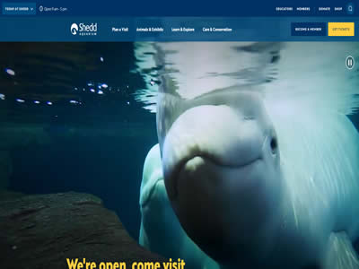 谢德水族馆