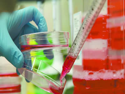生物技术行业 生物技术行业
