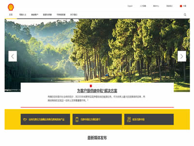 荷兰皇家壳牌