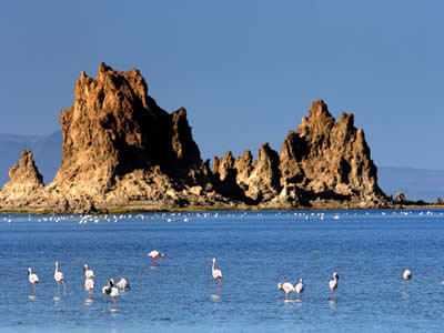 旅游业 旅游业